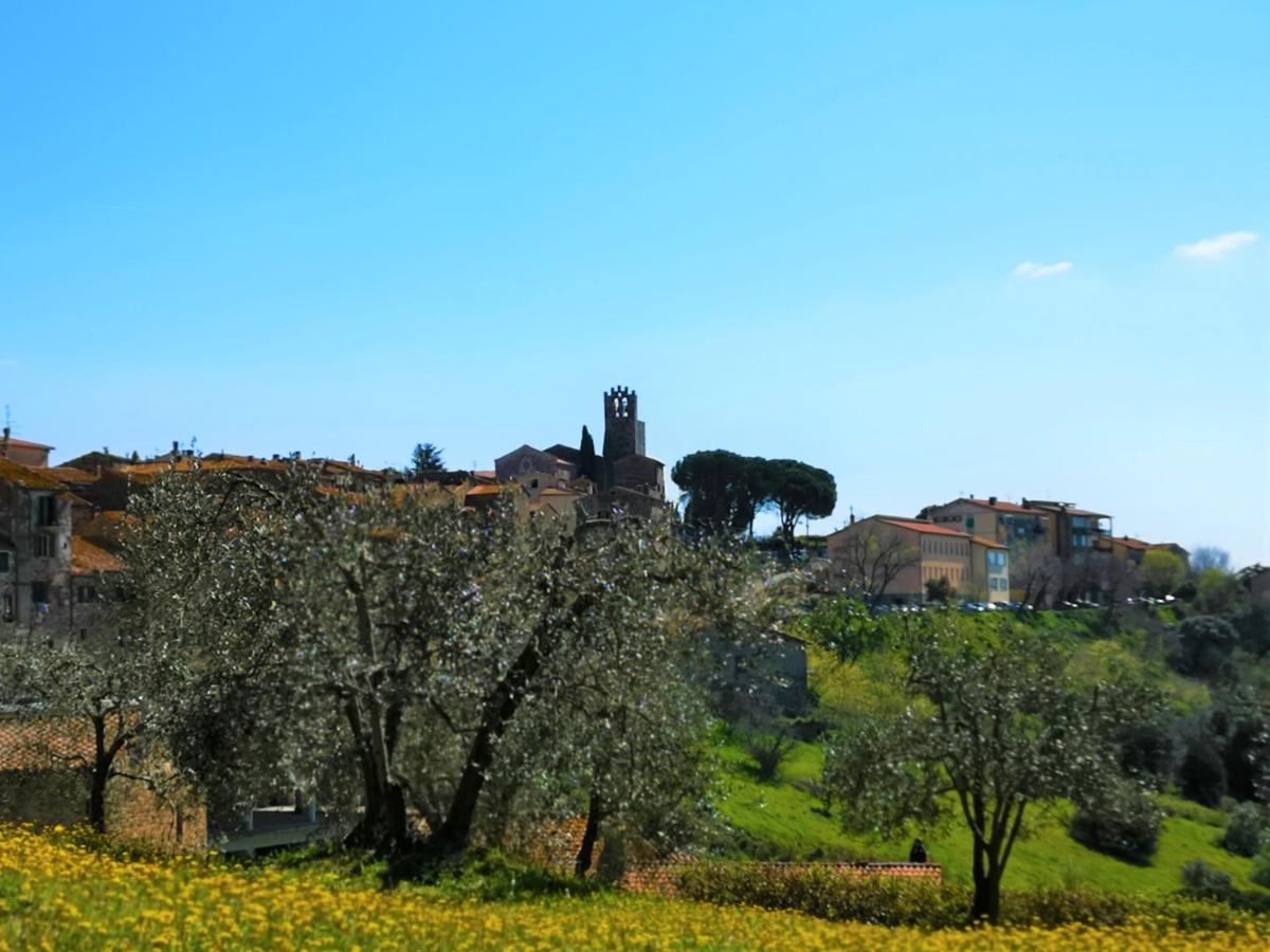 Villa Bellaria Campagnatico Екстериор снимка